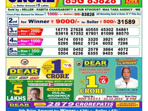 Gold lotto on sale 3921 results